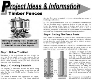 timber-fanes-1